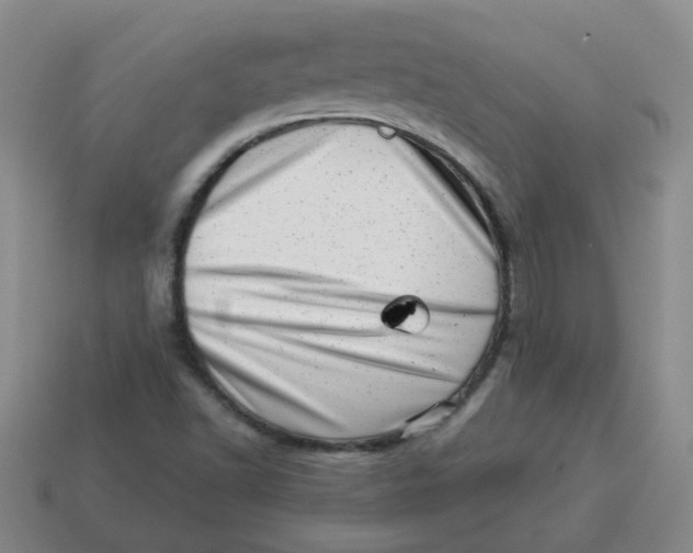 X0000114491502200911091037