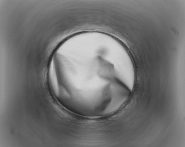 X0000114491507200911091037