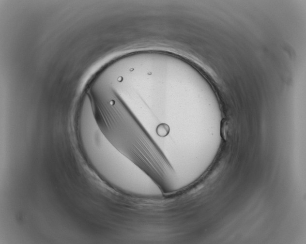 X0000114491510200911091037
