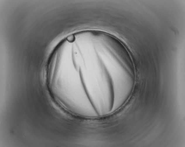 X0000114491511200911091037
