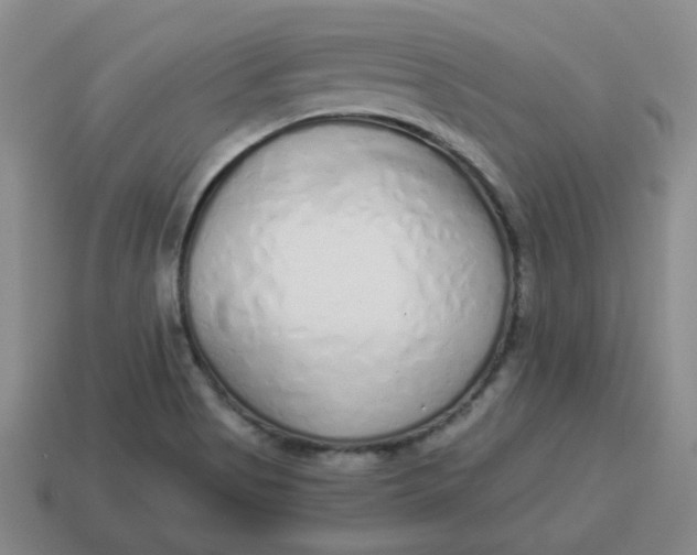 X0000114491513200911091037