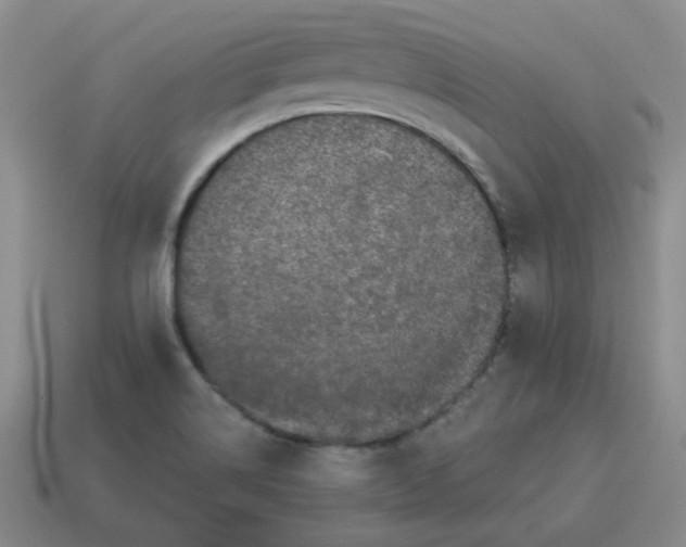 X0000114491514200911091037