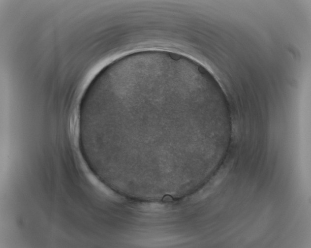 X0000114491515200911091037