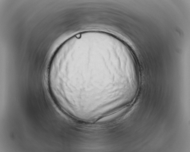 X0000114491517200911091037