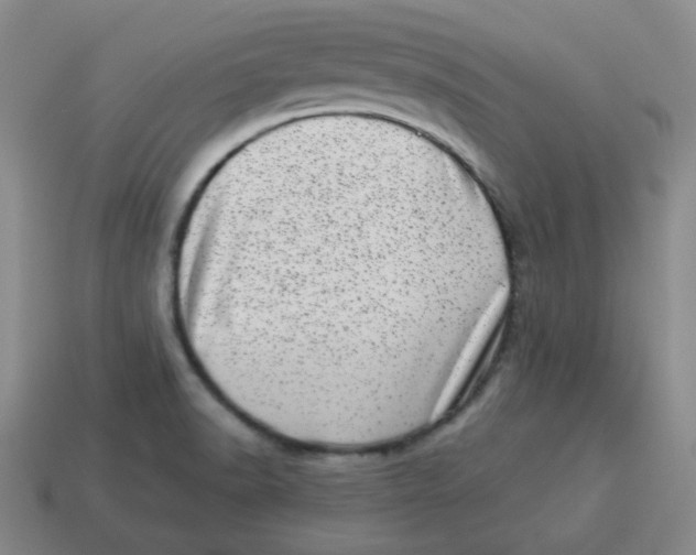 X0000114491518200911091037