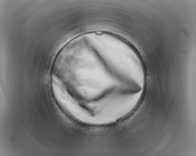 X0000114491521200911091037