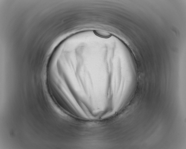X0000114491523200911091037
