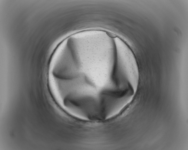 X0000114491526200911091038
