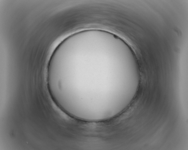 X0000114491527200911091038
