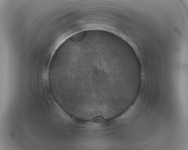X0000114491529200911091038