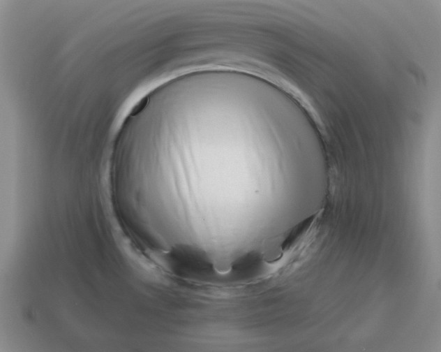 X0000114491530200911091038
