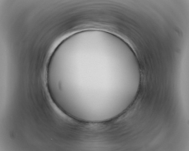 X0000114491531200911091038