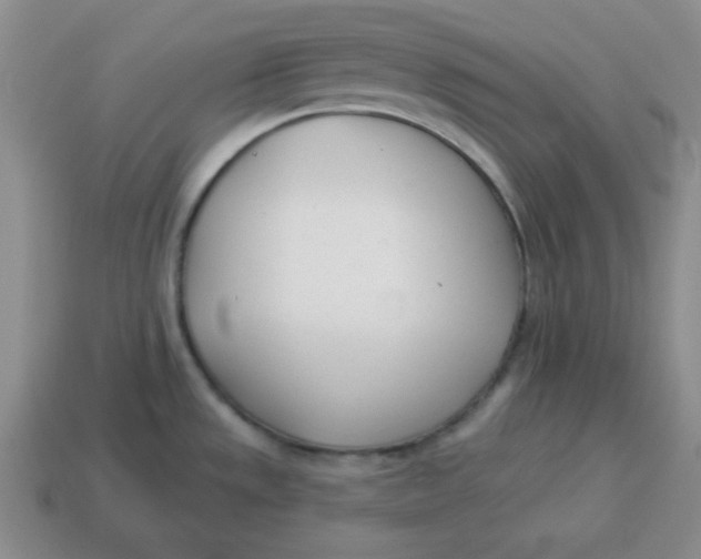 X0000114491533200911091038