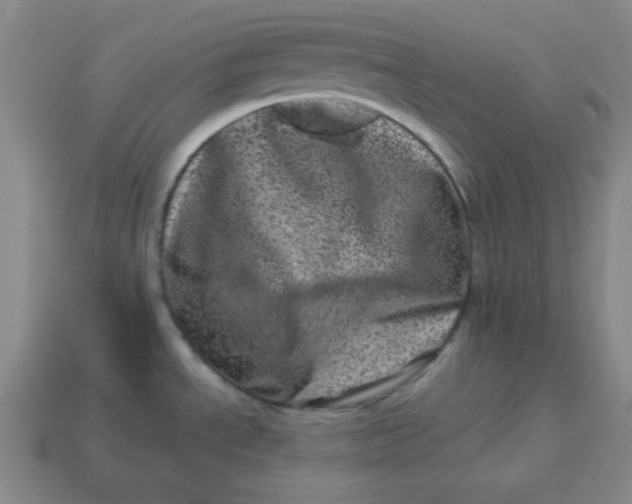 X0000114491534200911091038