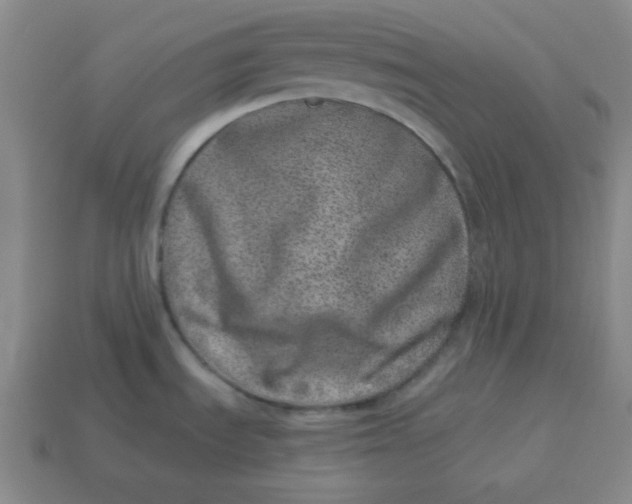 X0000114491535200911091038