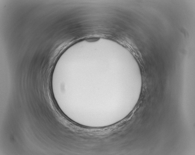 X0000114490001200911161223