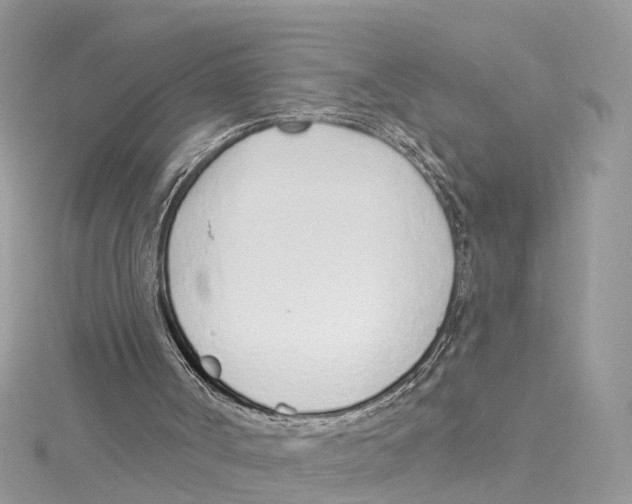 X0000114490002200911161223