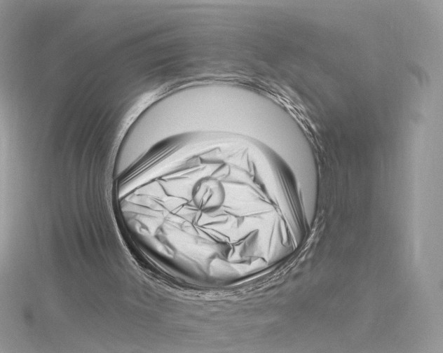 X0000114490003200911161223