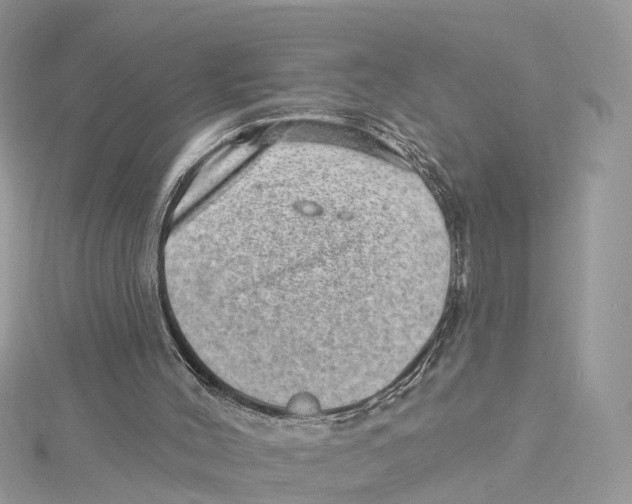 X0000114490004200911161223