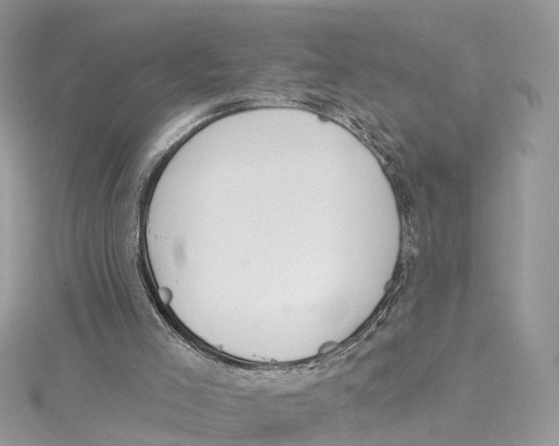 X0000114490005200911161223