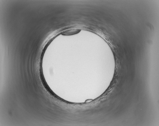 X0000114490007200911161222