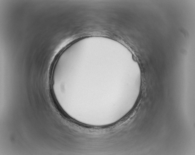 X0000114490008200911161222