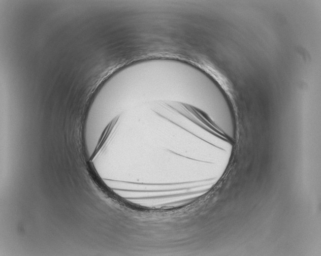 X0000114490009200911161222