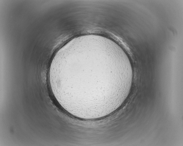 X0000114490010200911161222