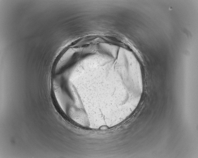 X0000114490011200911161222