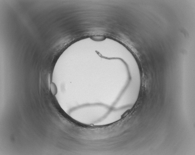 X0000114490013200911161222