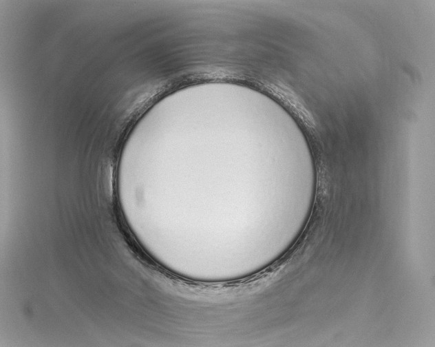 X0000114490014200911161222