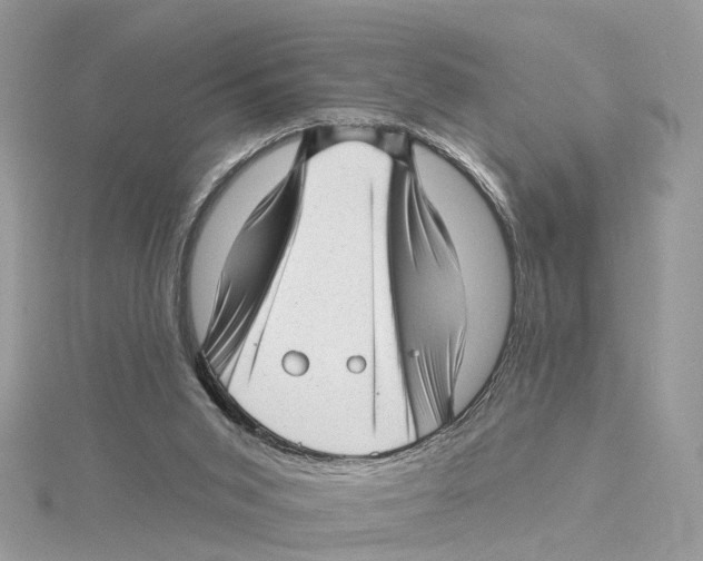 X0000114490015200911161222