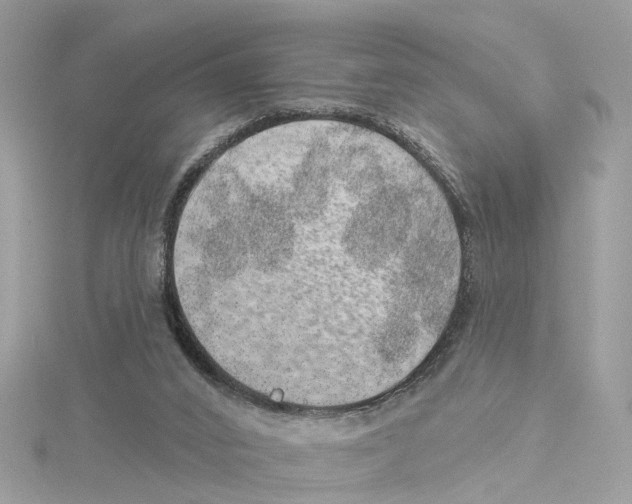 X0000114490016200911161222