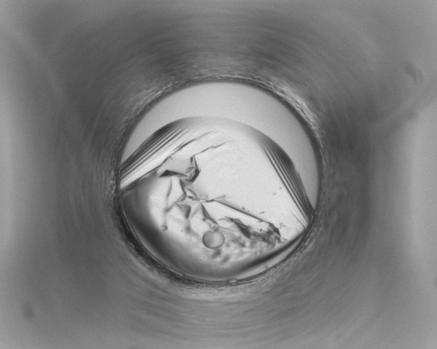 X0000114490017200911161222