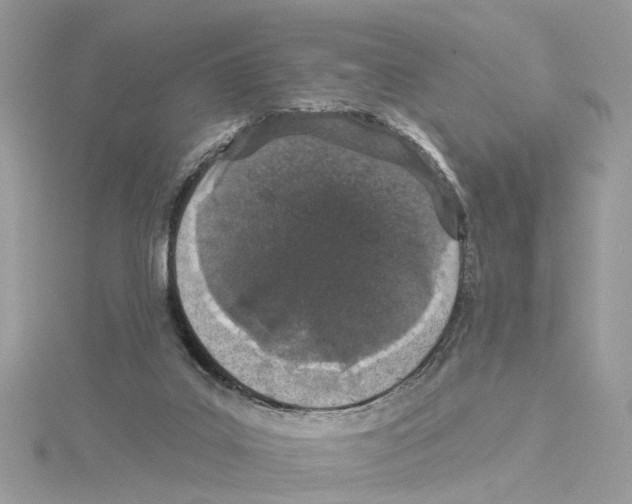 X0000114490019200911161222