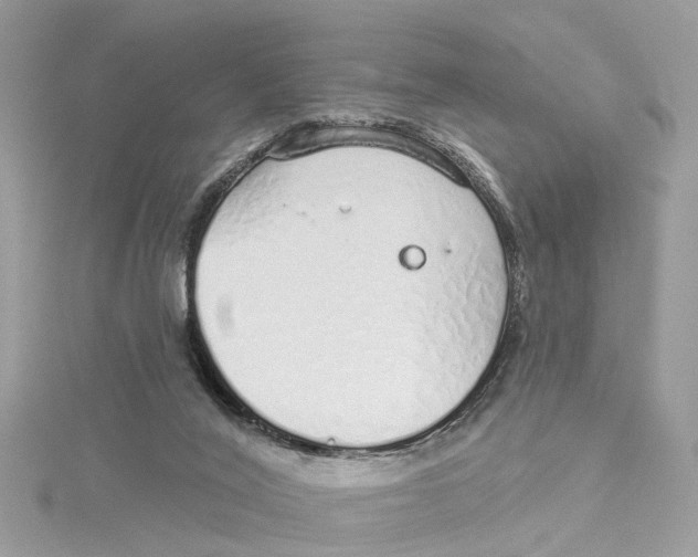 X0000114490020200911161222