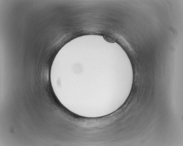 X0000114490021200911161222