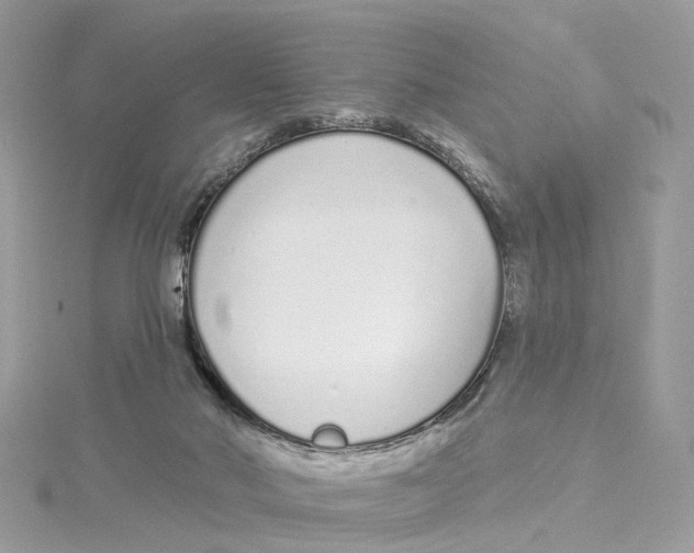 X0000114490022200911161222