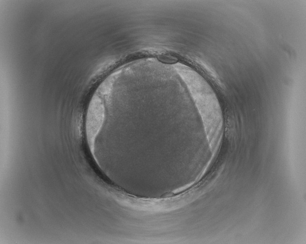 X0000114490023200911161222