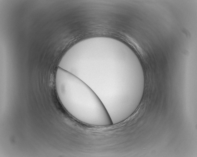 X0000114490025200911161222