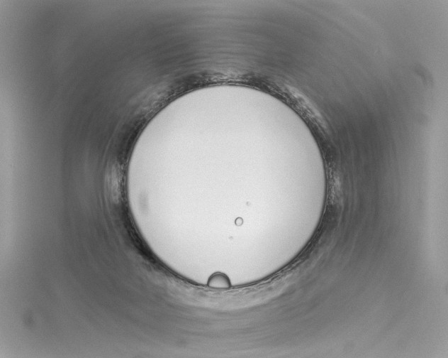 X0000114490026200911161222