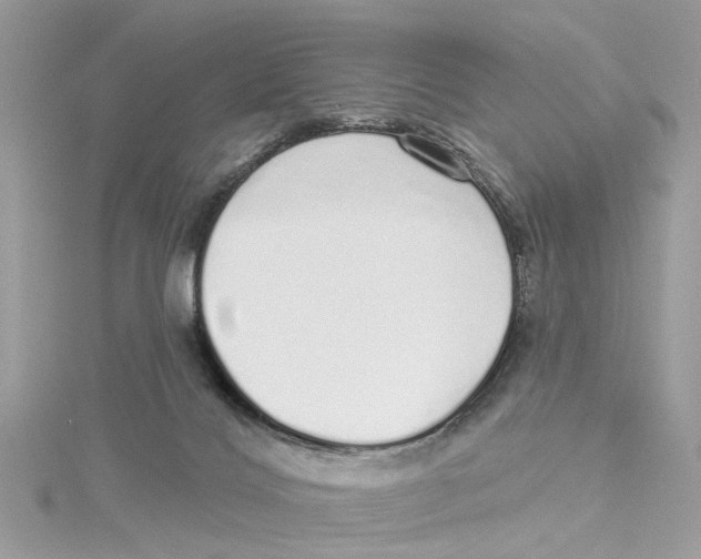 X0000114490028200911161222