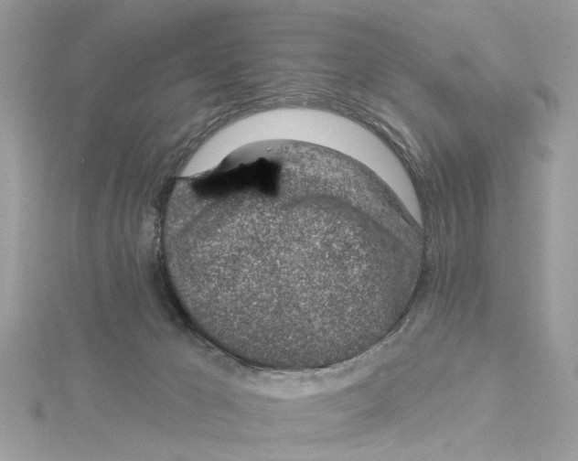 X0000114490029200911161222