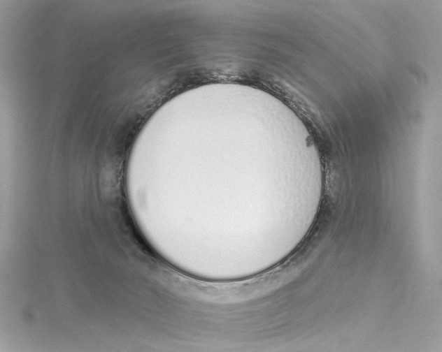 X0000114490030200911161222