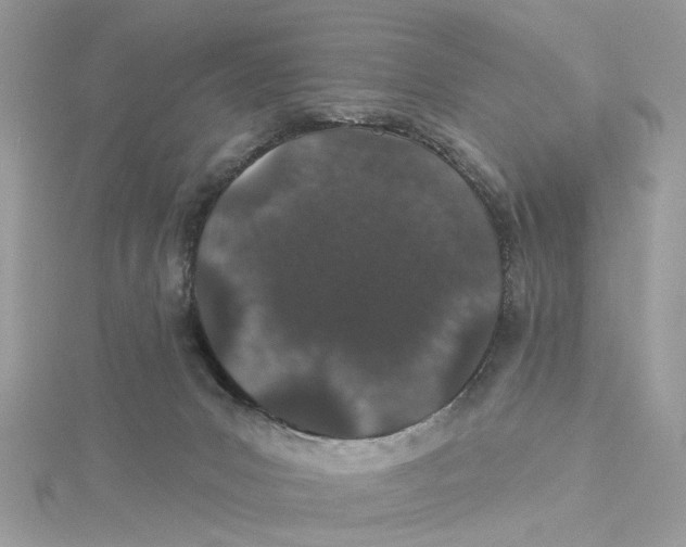 X0000114490031200911161222