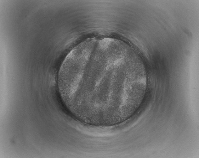 X0000114490032200911161222