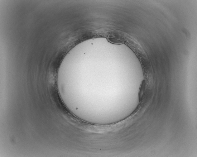 X0000114490033200911161222