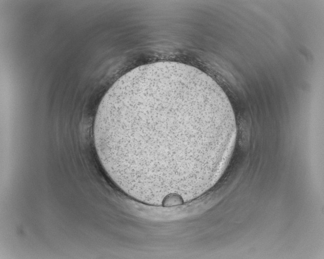 X0000114490034200911161222