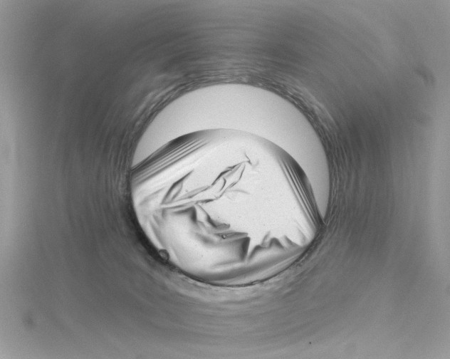 X0000114490035200911161222