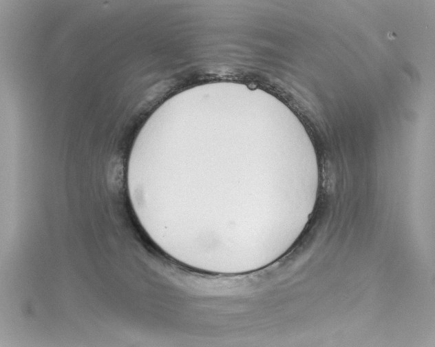 X0000114490036200911161222